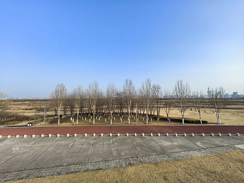 5a2662da3482bdcd0cd85a35ee7e6995.jpg
