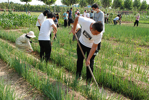 現(xiàn)場(chǎng)采摘 (3).JPG